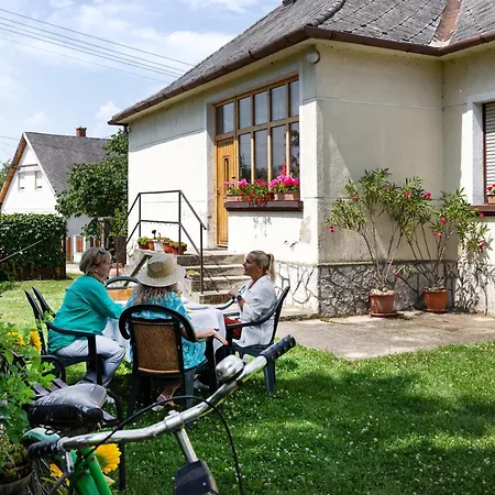 Daire Napraforgo Vendeghaz