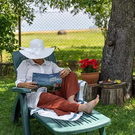 Napraforgó Tótvázsony