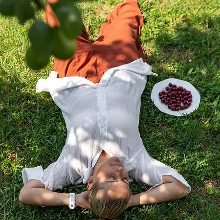 Apartman Napraforgó *