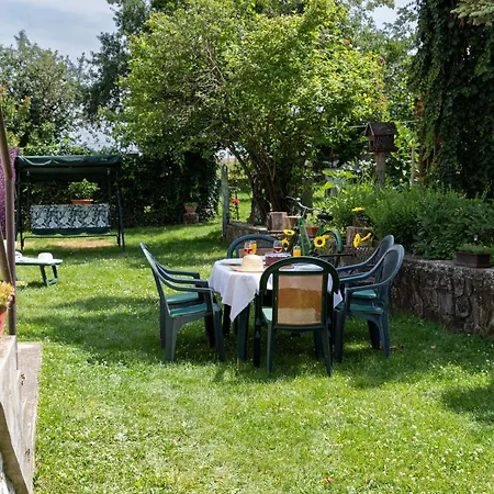 Napraforgo Vendeghaz Tótvázsony