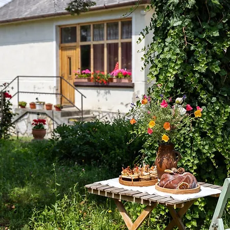 Napraforgo Vendeghaz Tótvázsony