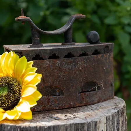 Napraforgo Vendeghaz Apartment *