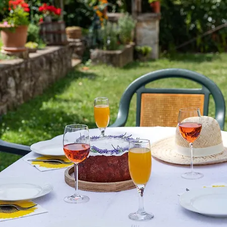 Apartment Napraforgo Vendeghaz *