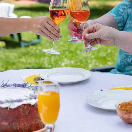 Napraforgo Vendeghaz Tótvázsony