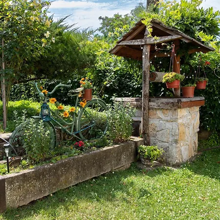 Napraforgo Vendeghaz