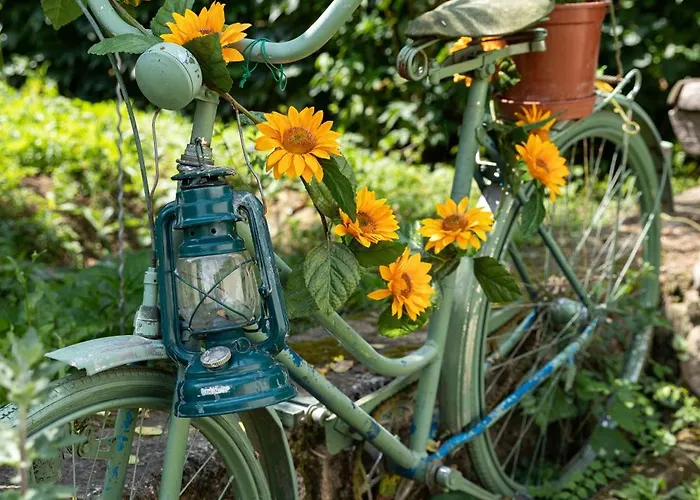 Apartamento Napraforgó