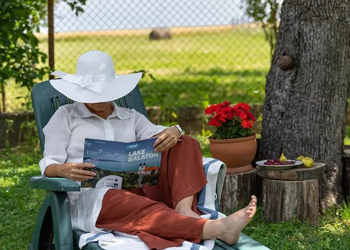 Napraforgo Vendeghaz Tótvázsony