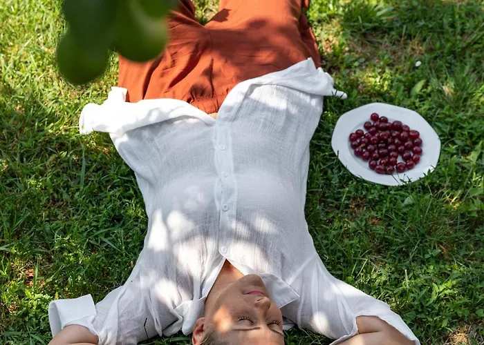 Apartamento Napraforgó *