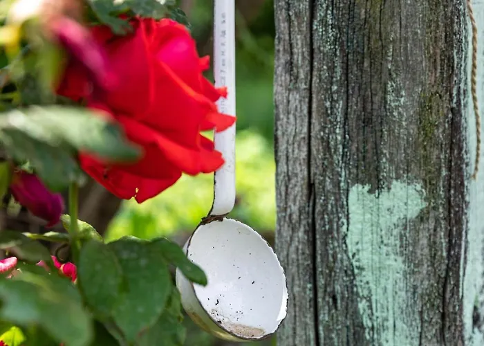 Napraforgó Apartamento Tótvázsony