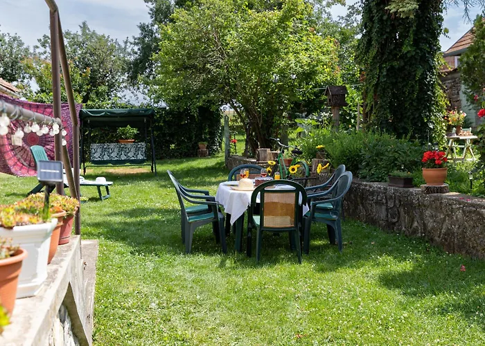 Napraforgo Vendeghaz Totvazsony