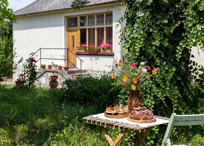 Napraforgo Vendeghaz Totvazsony