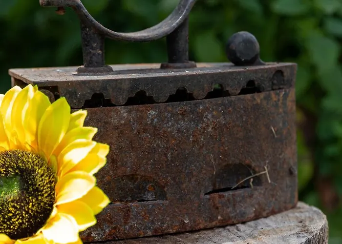 Napraforgó Apartamento *