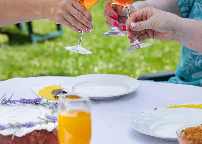 Napraforgo Vendeghaz Totvazsony