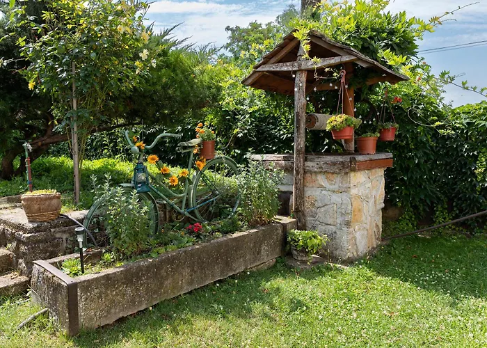 Napraforgó